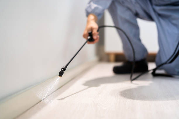 Licensed Mosquito Control service in New Bedford, MA - Show Me Pest Control