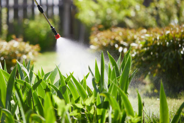 24/7 Emergency Mosquito Control experts in New Bedford, MA