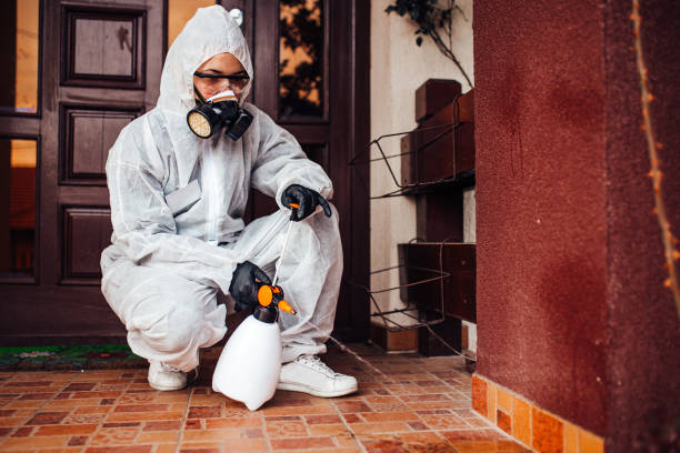 Reliable Mosquito Control contractor in New Bedford, MA by Show Me Pest Control
