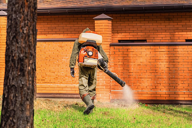 Top rated local Mosquito Control specialists in New Bedford, MA